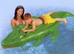 Schwimmtier Krokodil